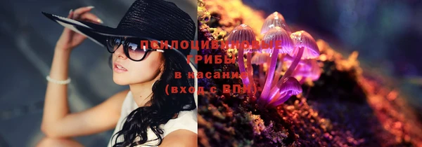 стаф Абаза