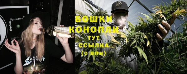 стаф Абаза