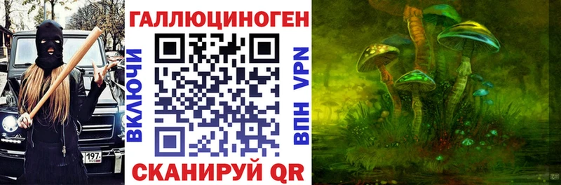 закладки Алатырь Галлюциногенные грибы прущие грибы