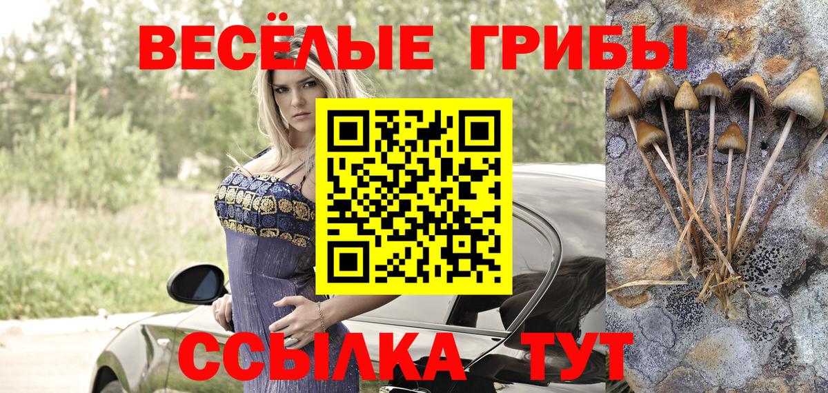 Алатырь  как найти наркотики  Вход с VPN  Галлюциногенные грибы GOLDEN TEACHER  Псилоцибиновые грибы мицелий 