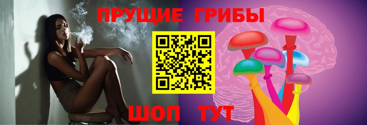 Галлюциногенные грибы Psilocybine cubensis Алатырь